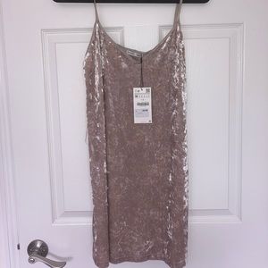 Zara velvet dress w tag on!